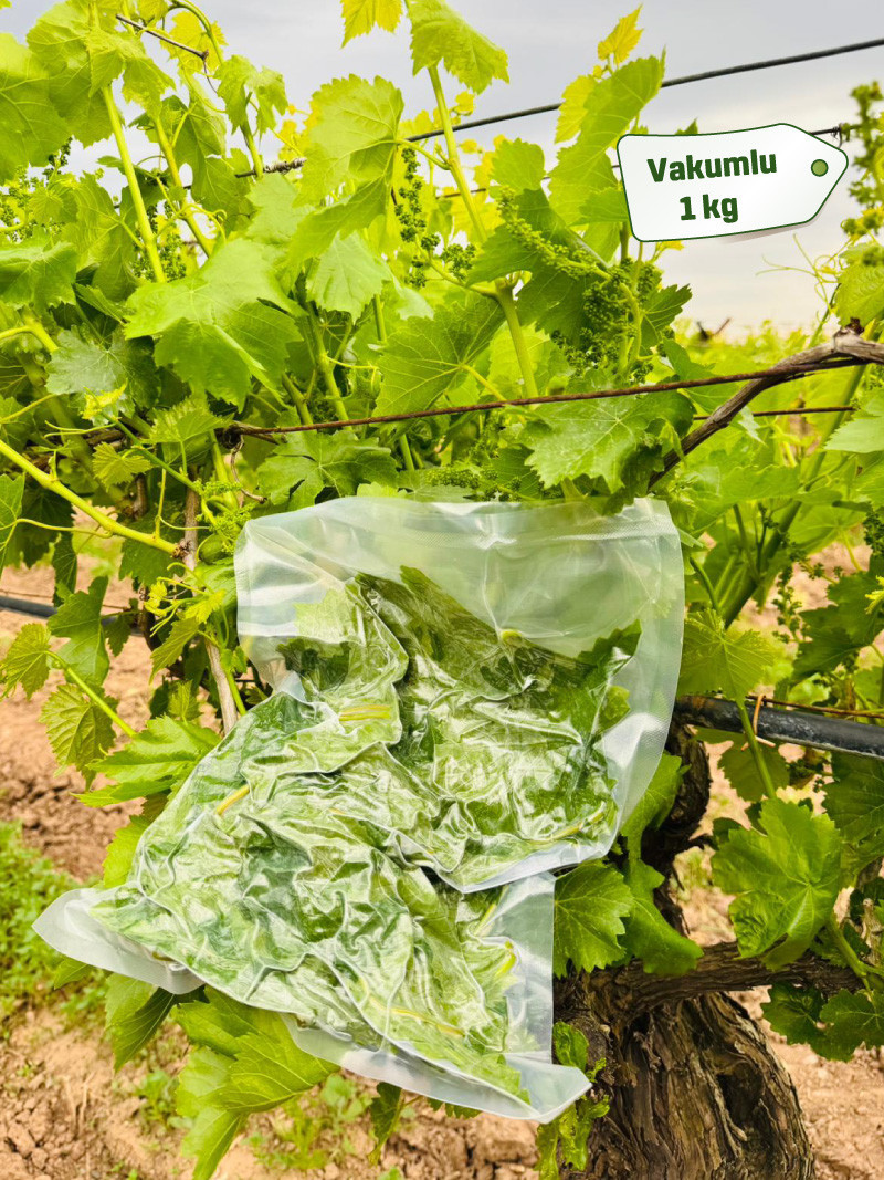 Vakumlu Taze Asma Yaprak 1 kg