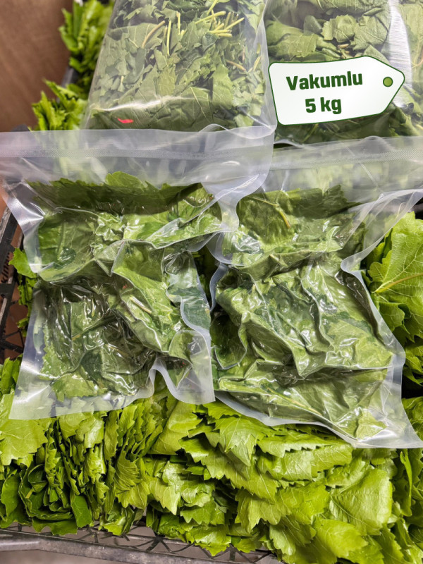 Vakumlu Taze Asma Yaprak 5 kg