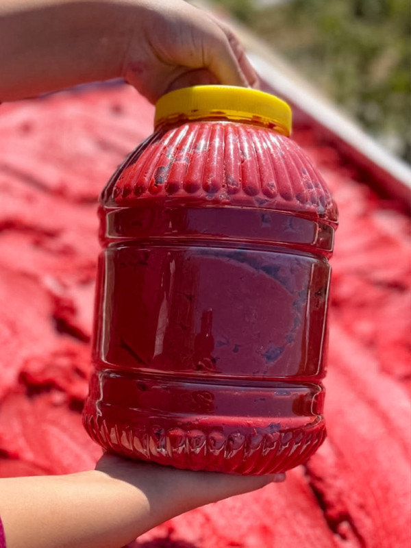 Domates Salçası 5 kg.