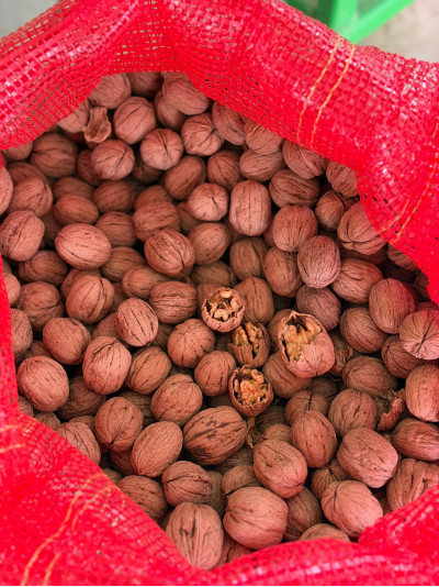 İnce Kabuk Kuru Ceviz 5 KG