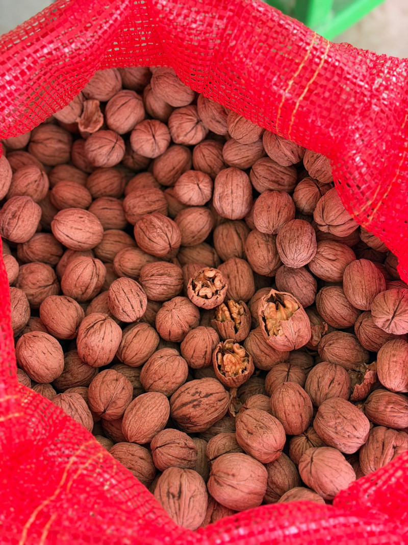 İnce Kabuk Kuru Ceviz 5 KG